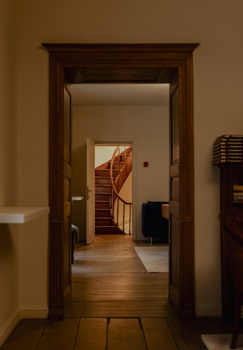 IMG_4573-Enhanced-NR